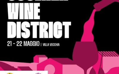 Cosenza Wine District, protagonisti i vini calabresi.